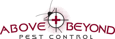 Above & Beyond Pest Control